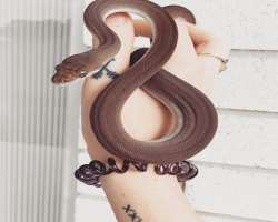 She has a great attachment with a python whom she named Isla Lowe. She has posted a number of photographs of Isla on her Instagram.  